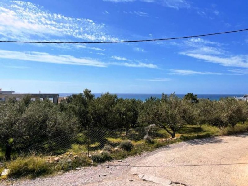 Makry Gialos Südostkreta, Makry Gialos: Grundstück mit Meerblick zu verkaufen Grundstück kaufen